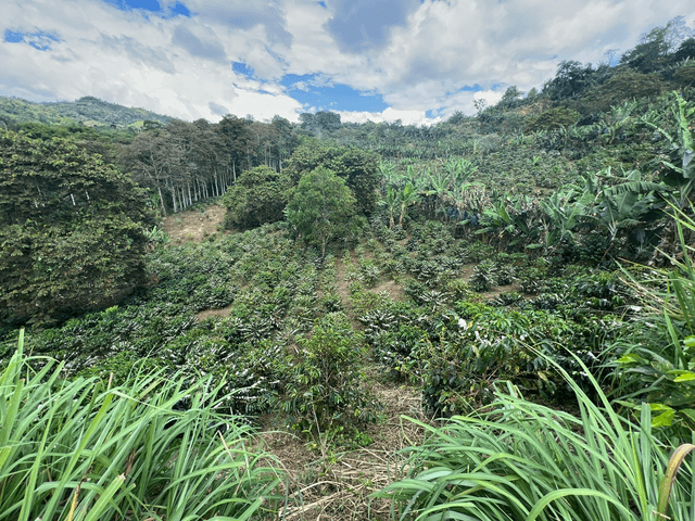 F6 - Colombia