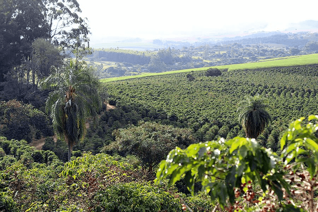 Obatã - Brazil