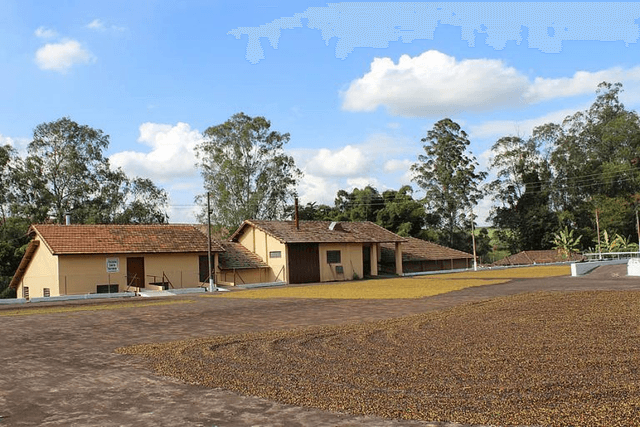 Obatã - Brazil